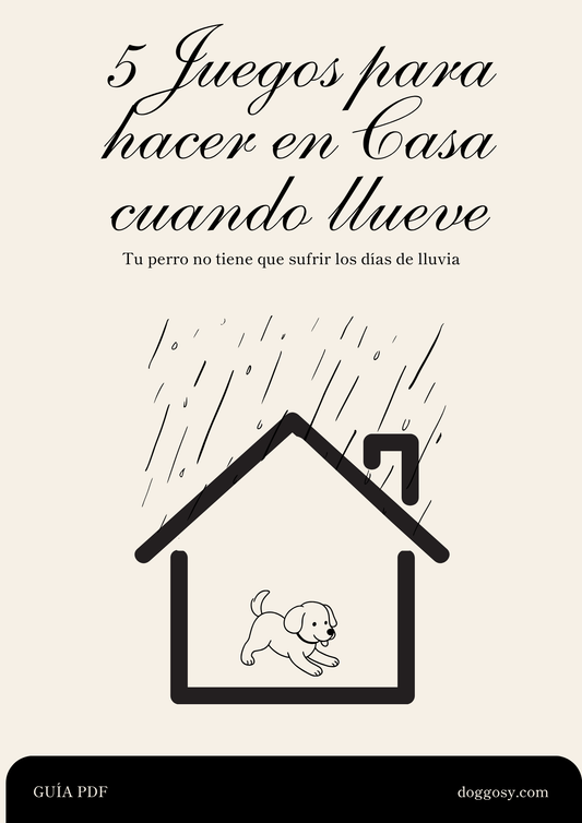 Guía digital 5 juegos para hacer en casa - Ebook PDF de actividades para días de lluvia