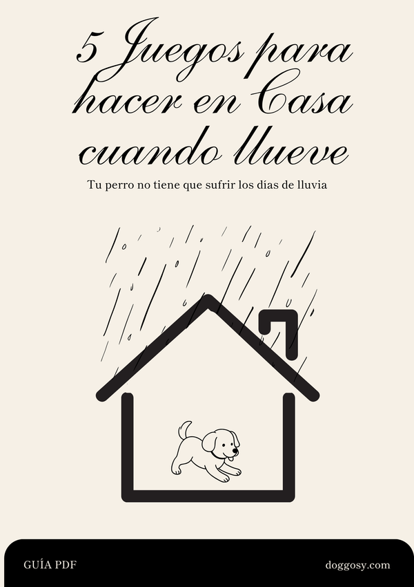 Guía digital 5 juegos para hacer en casa - Ebook PDF de actividades para días de lluvia