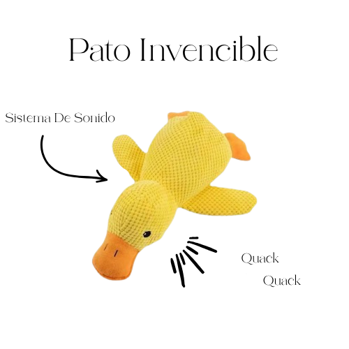 Don Pato - Sistema de sonido interior seguro
