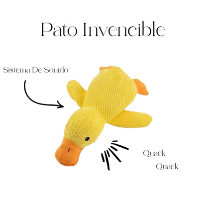Don Pato - Sistema de sonido interior seguro